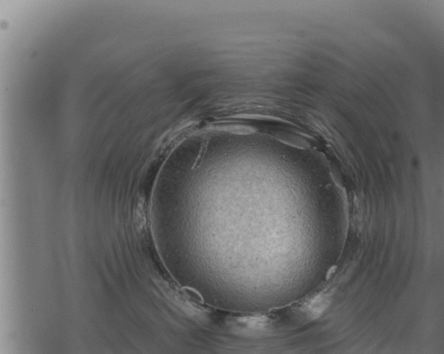 X0000068820478200605121320