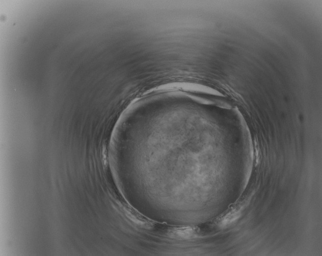 X0000068820479200605121320