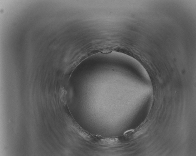 X0000068820480200605121320