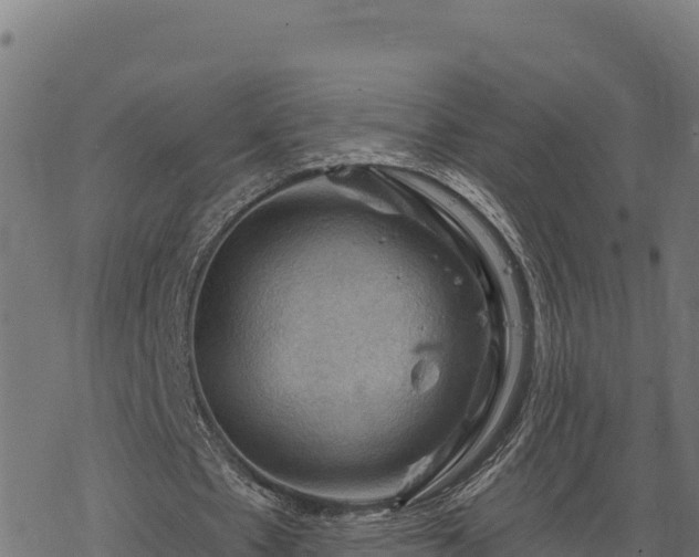 X0000068820481200605121320