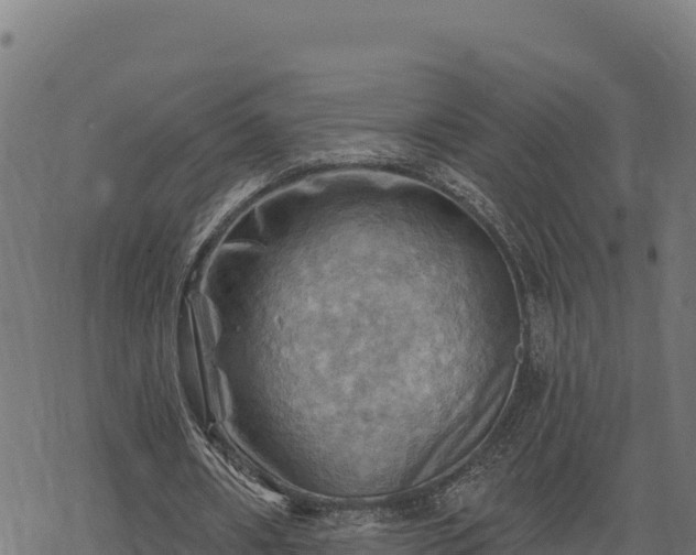 X0000068820482200605121320