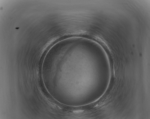 X0000068820483200605121319