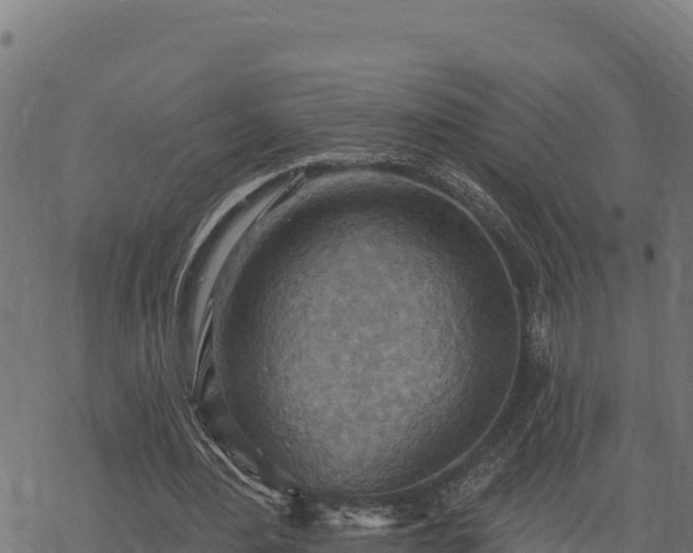 X0000068820484200605121319