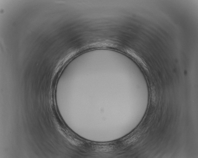 X0000068820486200605121319