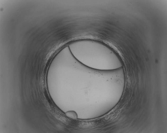 X0000068820487200605121319