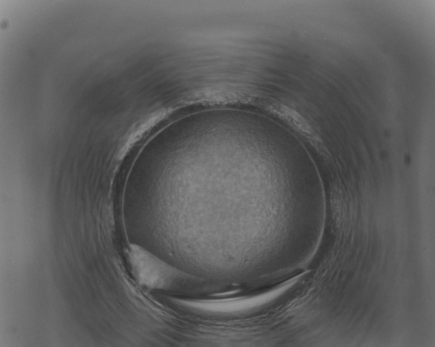 X0000068820488200605121319