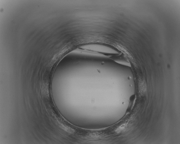 X0000068820489200605121319