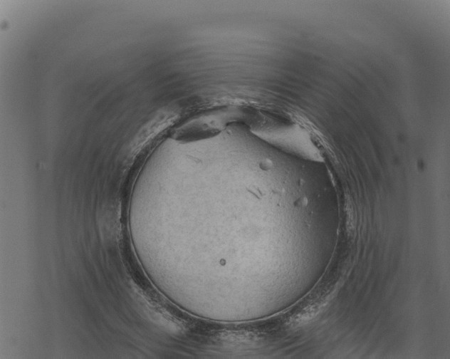 X0000068820490200605121319