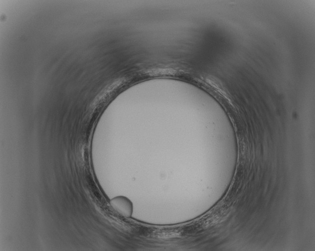 X0000068820491200605121319