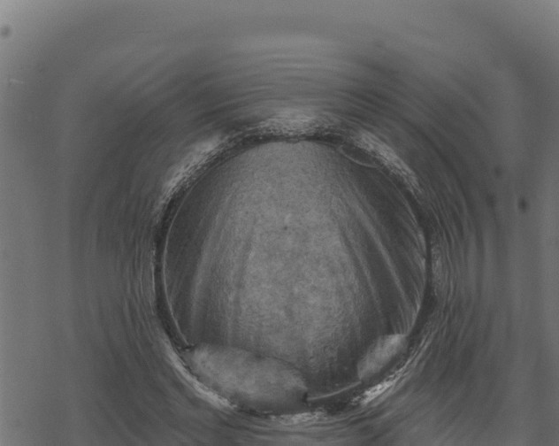 X0000068820493200605121319