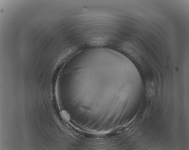 X0000068820494200605121319