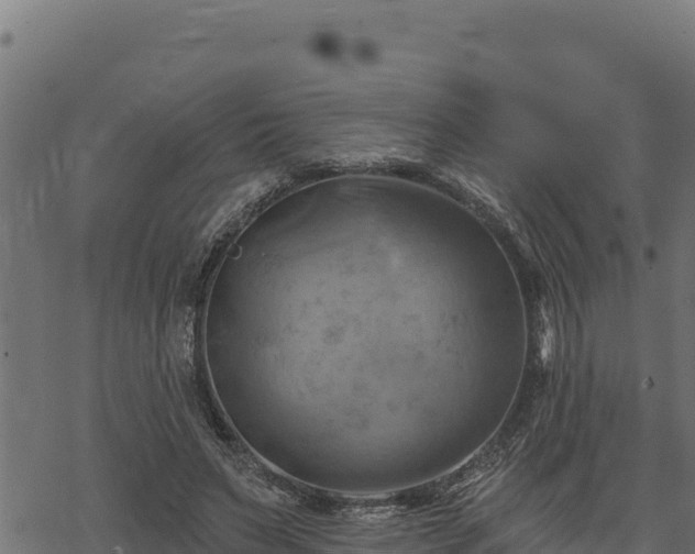 X0000068820495200605121319