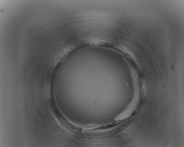 X0000068820496200605121319