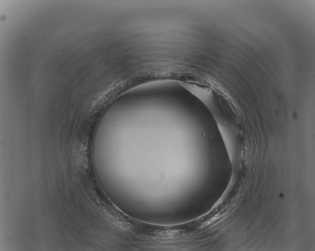 X0000068820497200605121319