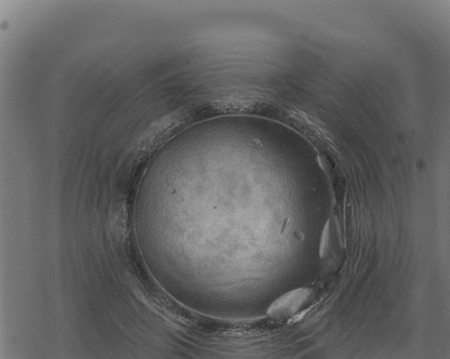 X0000068820498200605121319