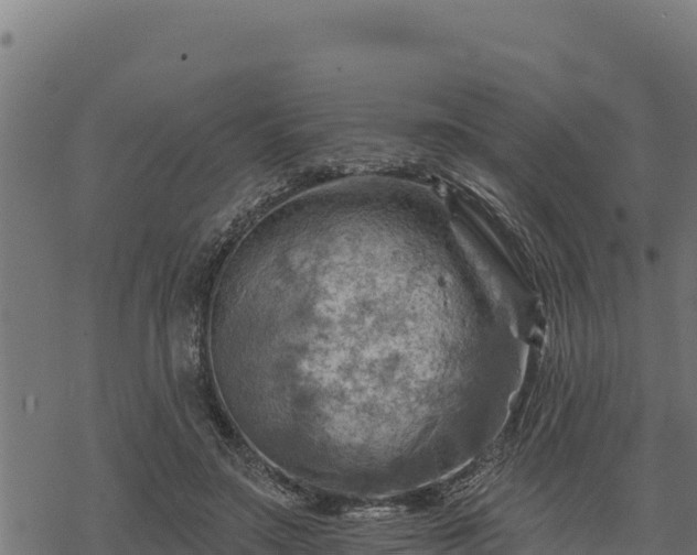 X0000068820499200605121319