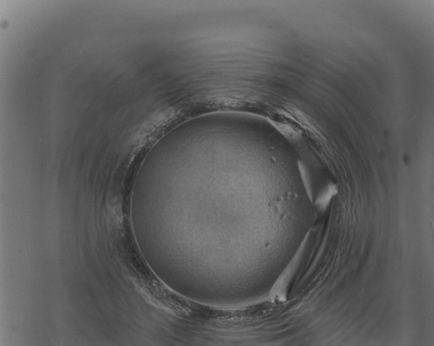 X0000068820500200605121319