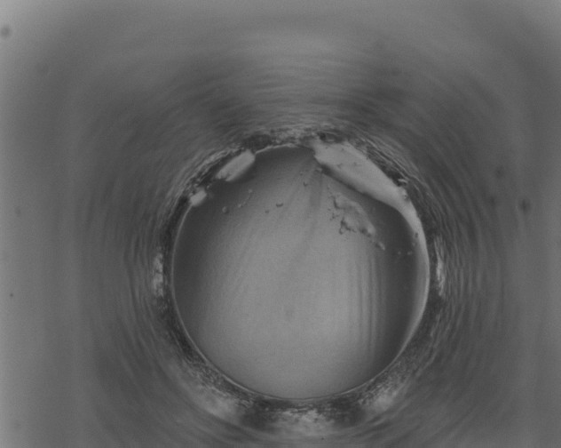 X0000068820502200605121319