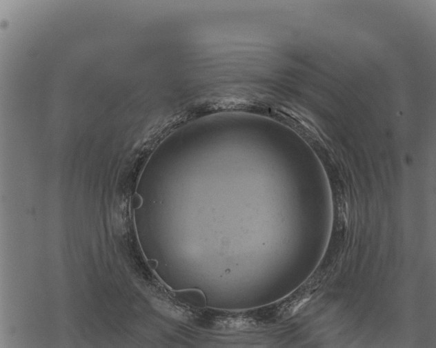 X0000068820503200605121319