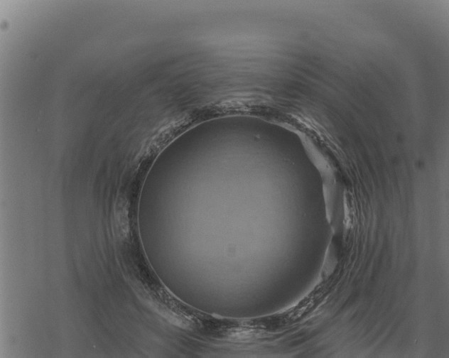 X0000068820504200605121319