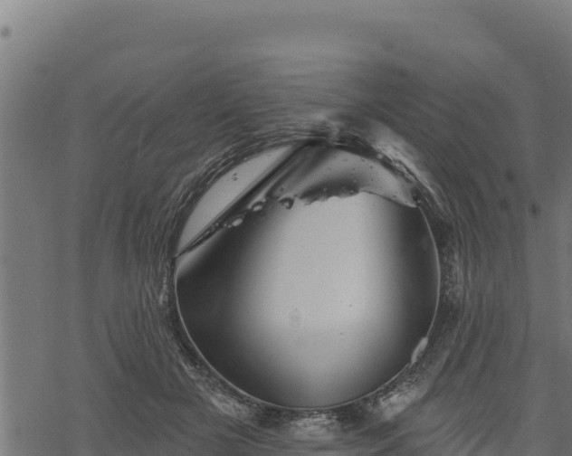 X0000068820505200605121319