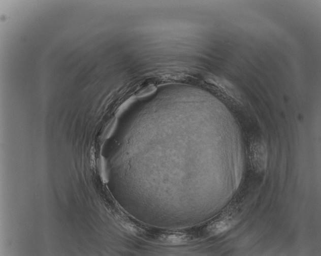 X0000068820506200605121319