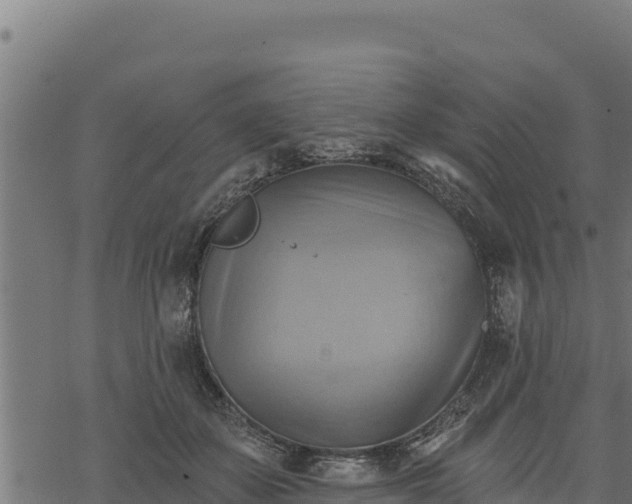 X0000068820507200605121319