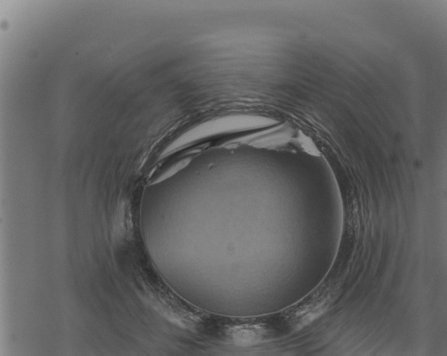 X0000068820508200605121319