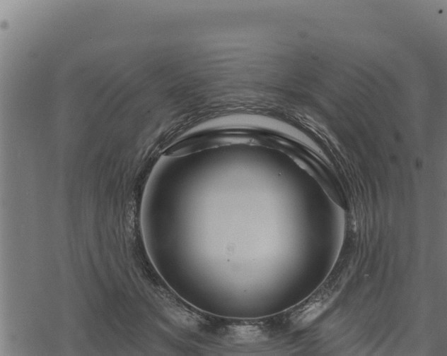 X0000068820509200605121319