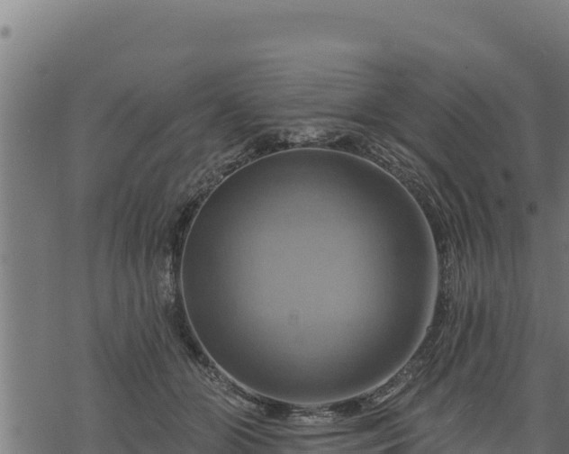 X0000068820510200605121319