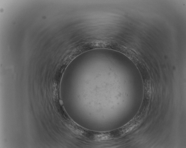 X0000068820511200605121319