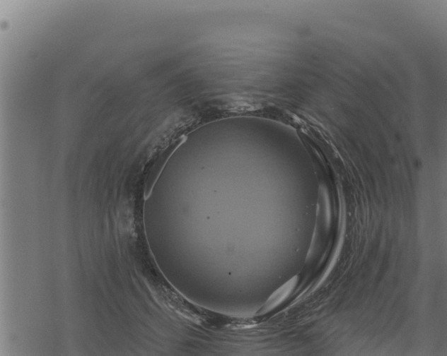 X0000068820512200605121319