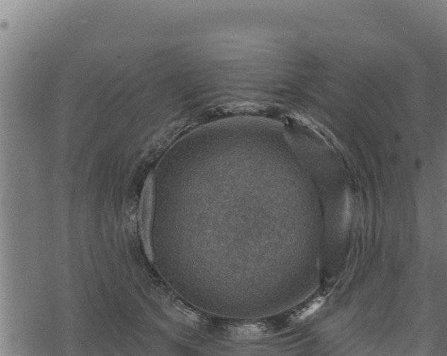 X0000068820513200605121319