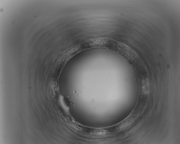 X0000068820514200605121319