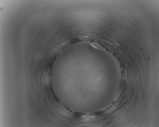 X0000068820515200605121319