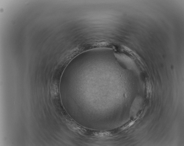 X0000068820517200605121319