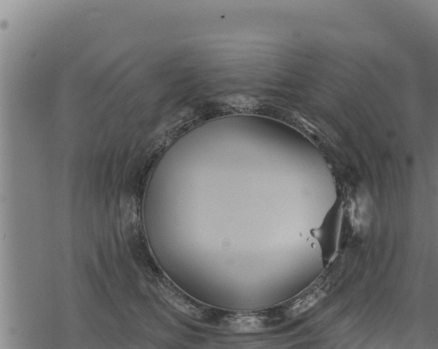 X0000068820518200605121319