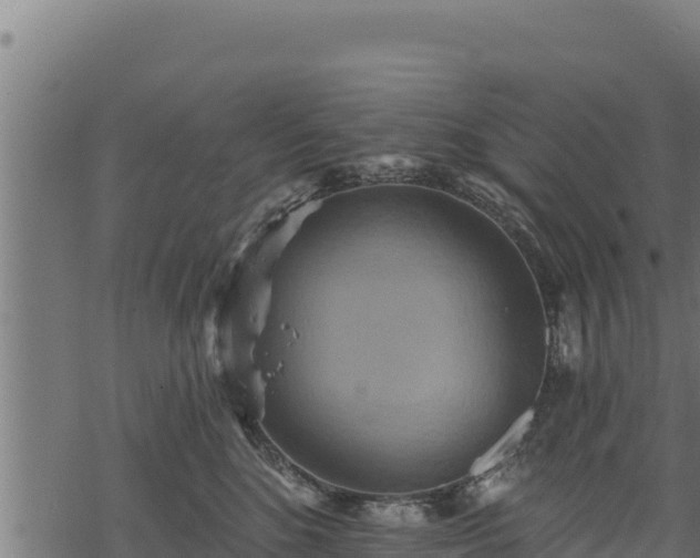 X0000068820520200605121319