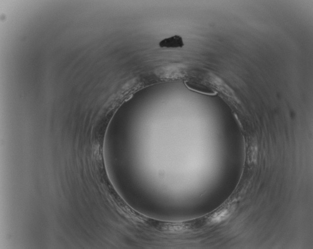 X0000068820521200605121319