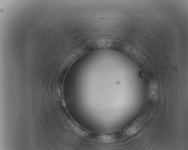 X0000068820522200605121319