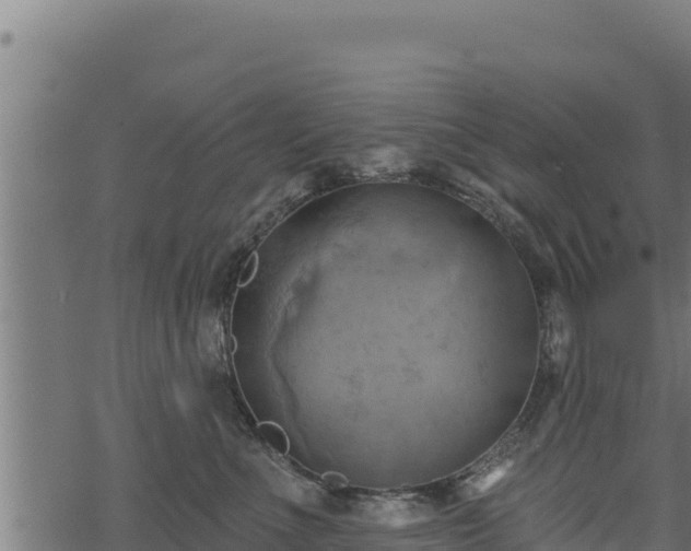 X0000068820523200605121319