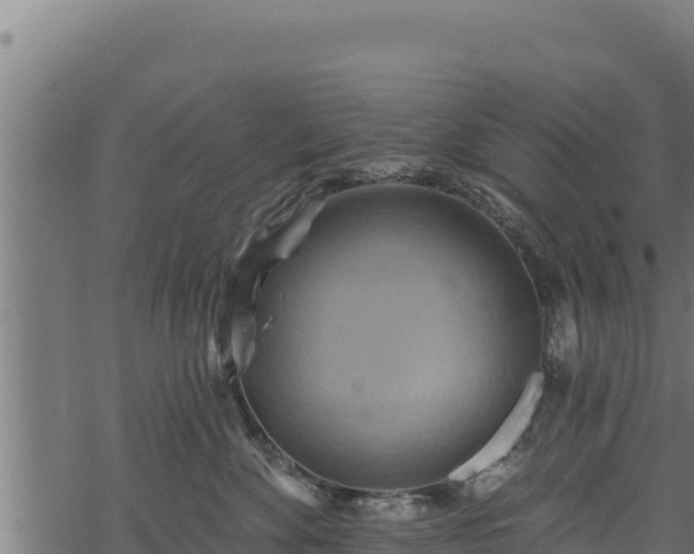 X0000068820524200605121319