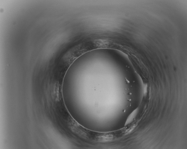 X0000068820525200605121319