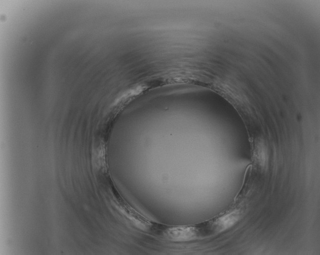 X0000068820526200605121319