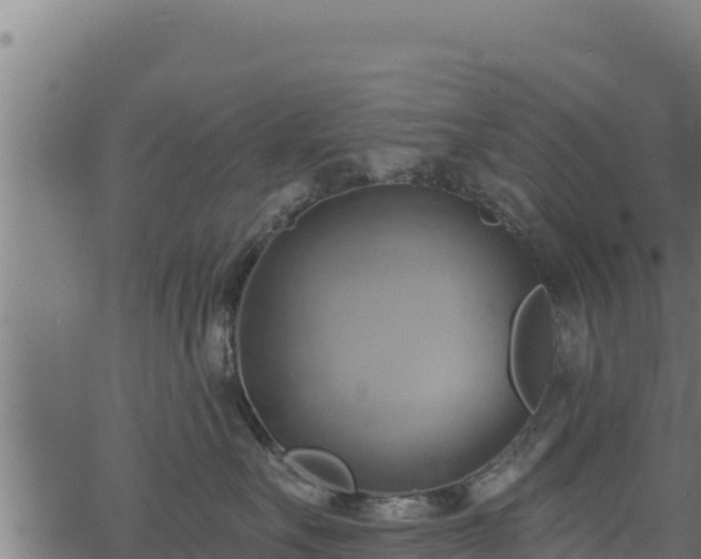 X0000068820527200605121319