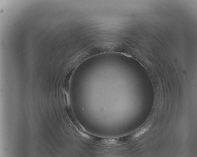 X0000068820528200605121319