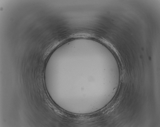 X0000068820529200605121318