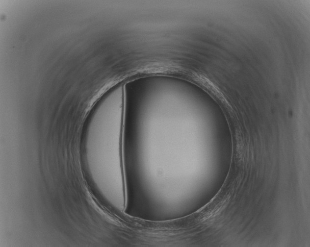 X0000068820530200605121318