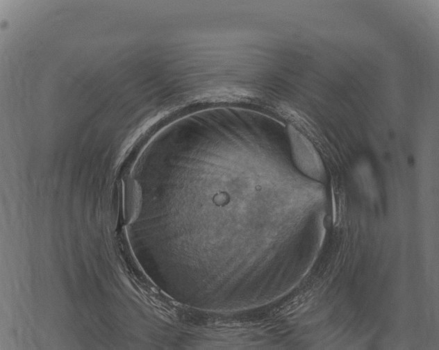 X0000068820531200605121318