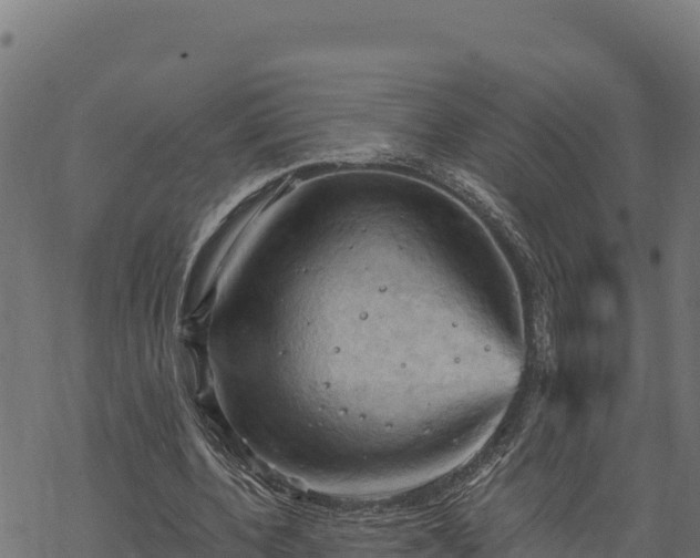 X0000068820532200605121318